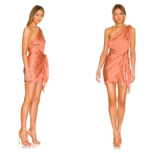 Baobab Marea dress in Peach Blossoms 🍑 X-S and Small - Picture 5 of 8